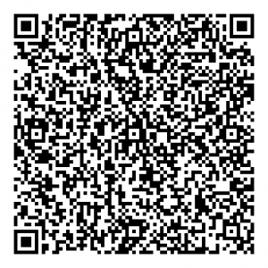 static qr code without logo
