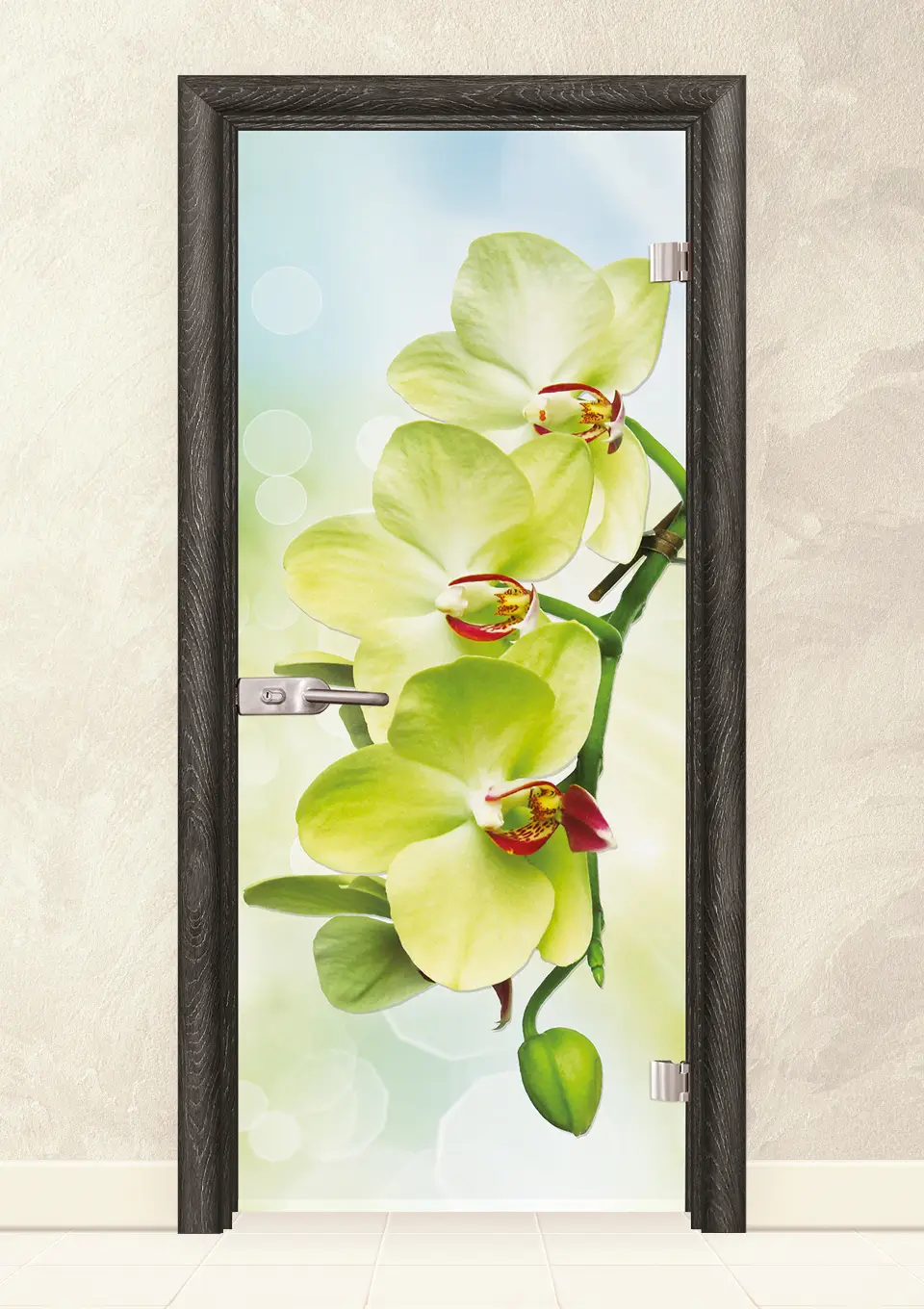 Стъклена интериорна врата Print G 13-3 Green Сив Ясен